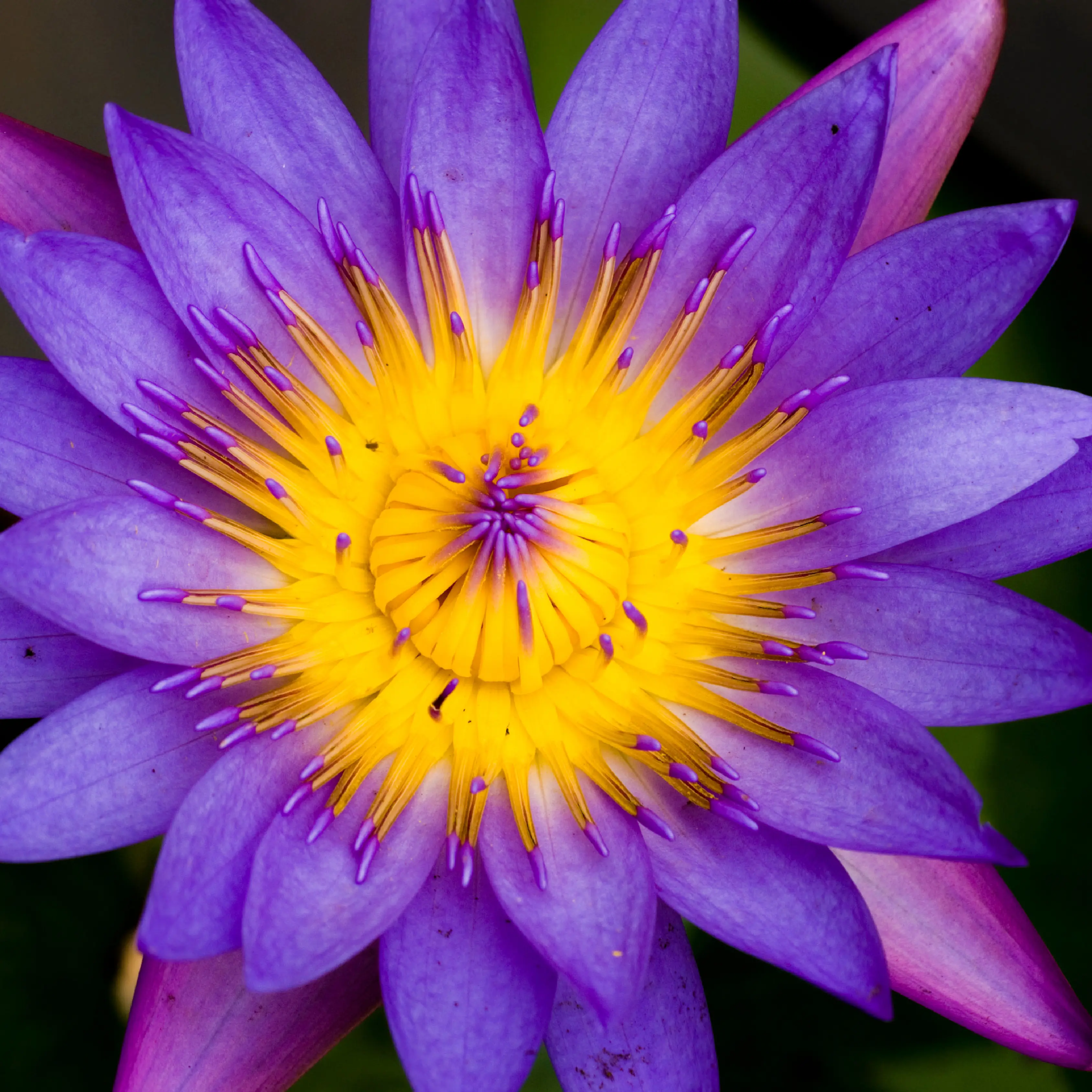 It’s Not Too Late to Learn — Maybe You’re Just Getting Started